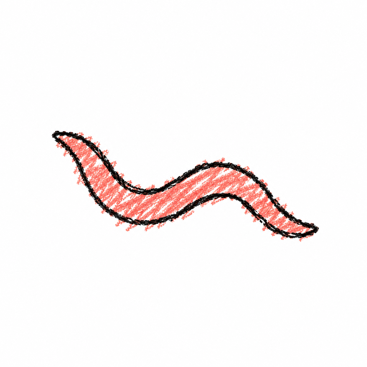 Nematode (Diagram)