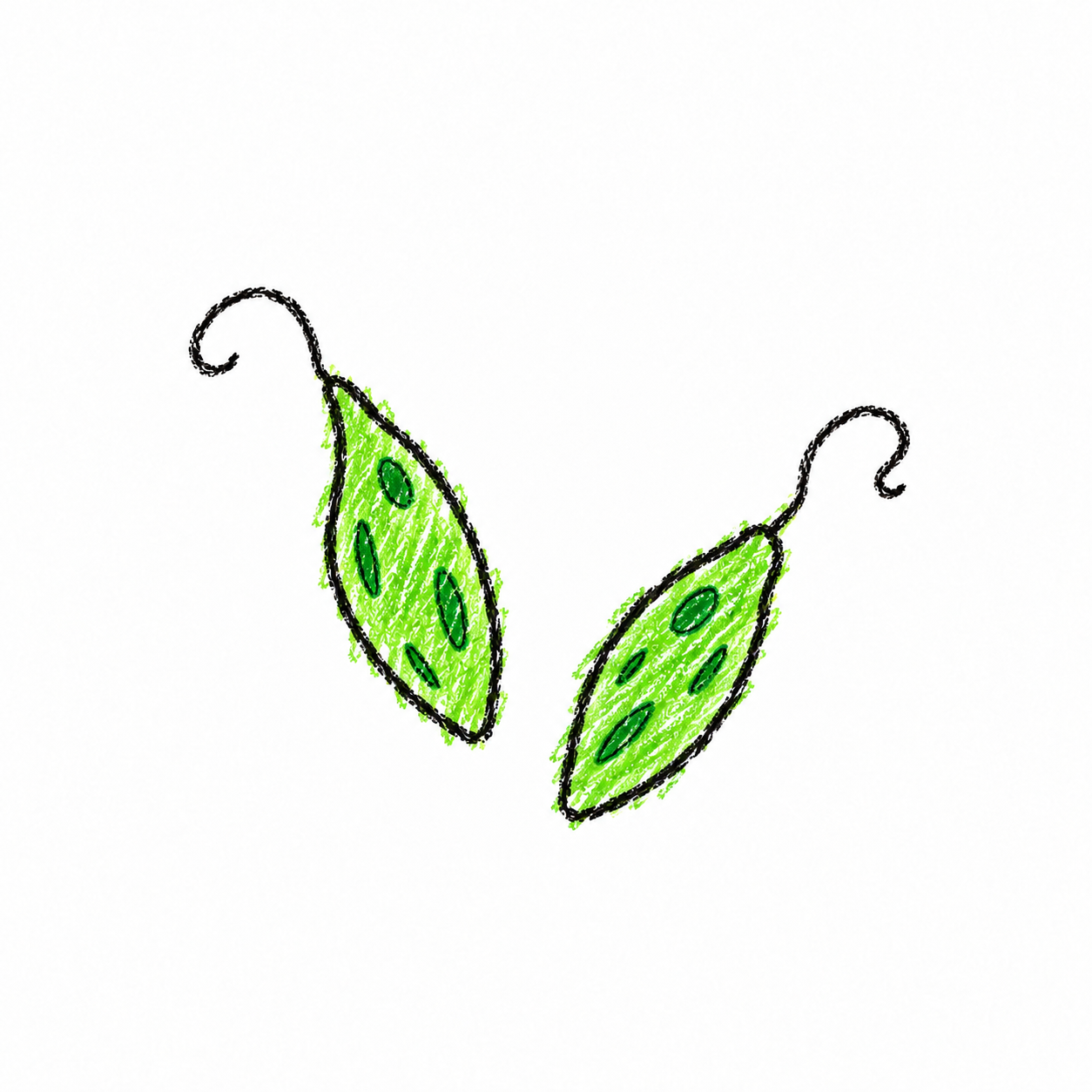 Euglena (Diagram) Scene