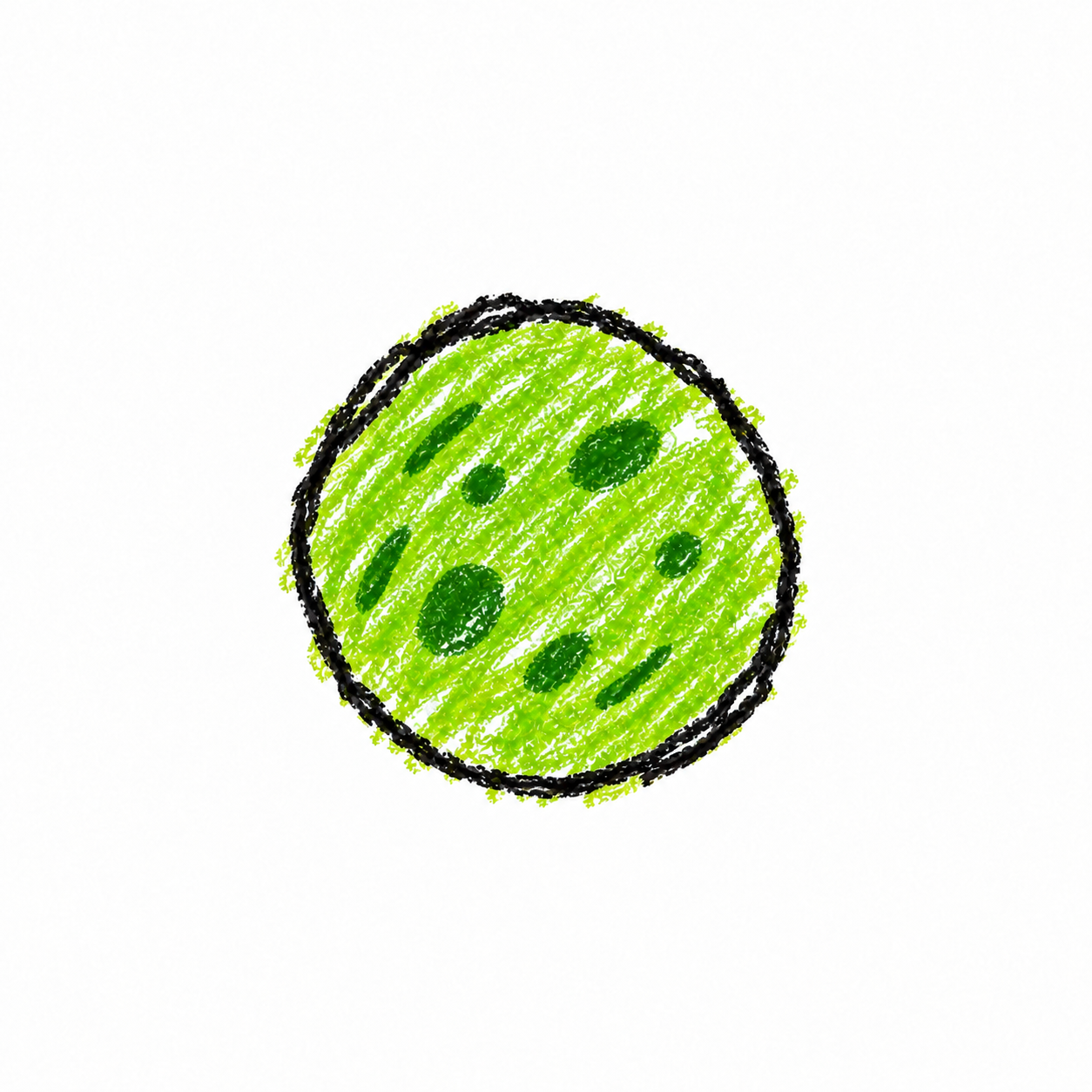 Chlorella (Diagram)