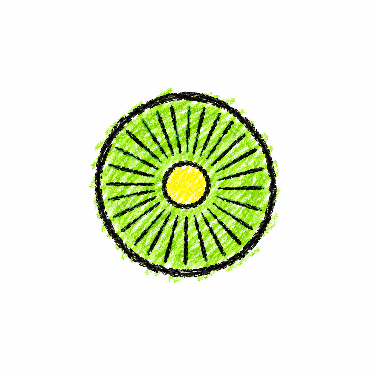 Disc Diatom (Diagram)