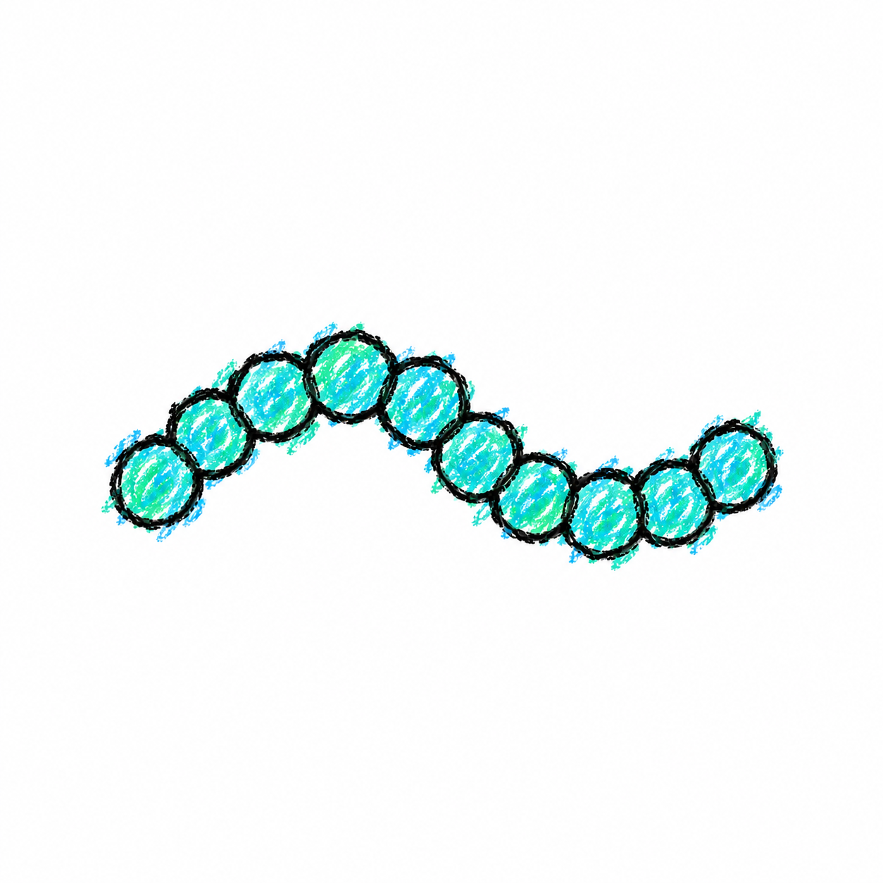 Nostoc (Diagram)
