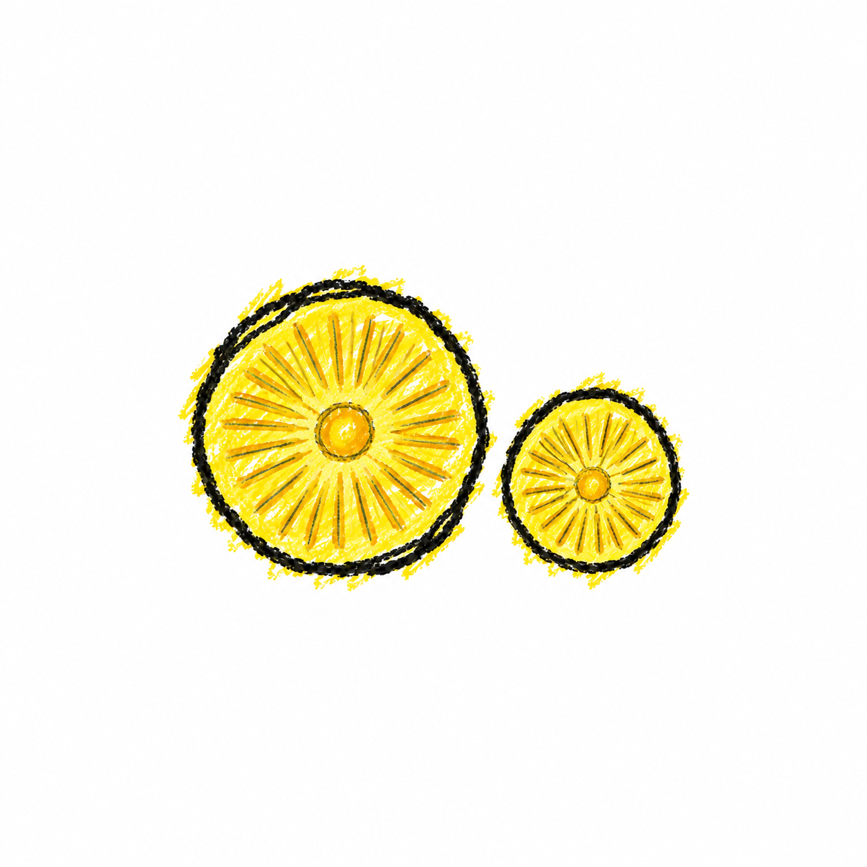 Disc Diatom (Diagram) Scene
