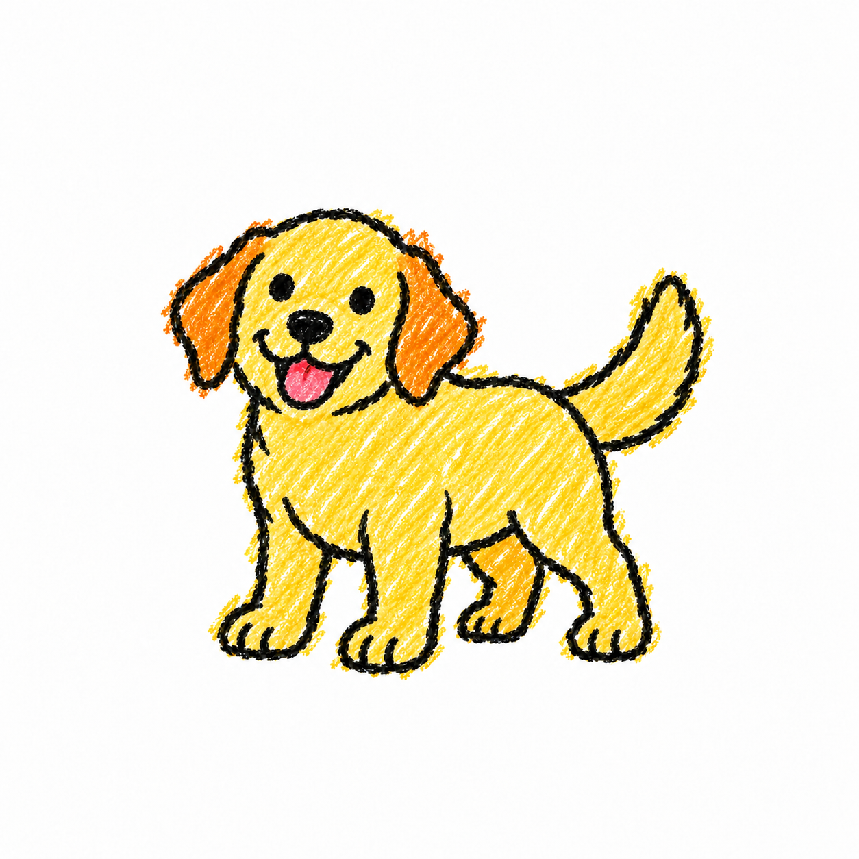 Labrador retriever