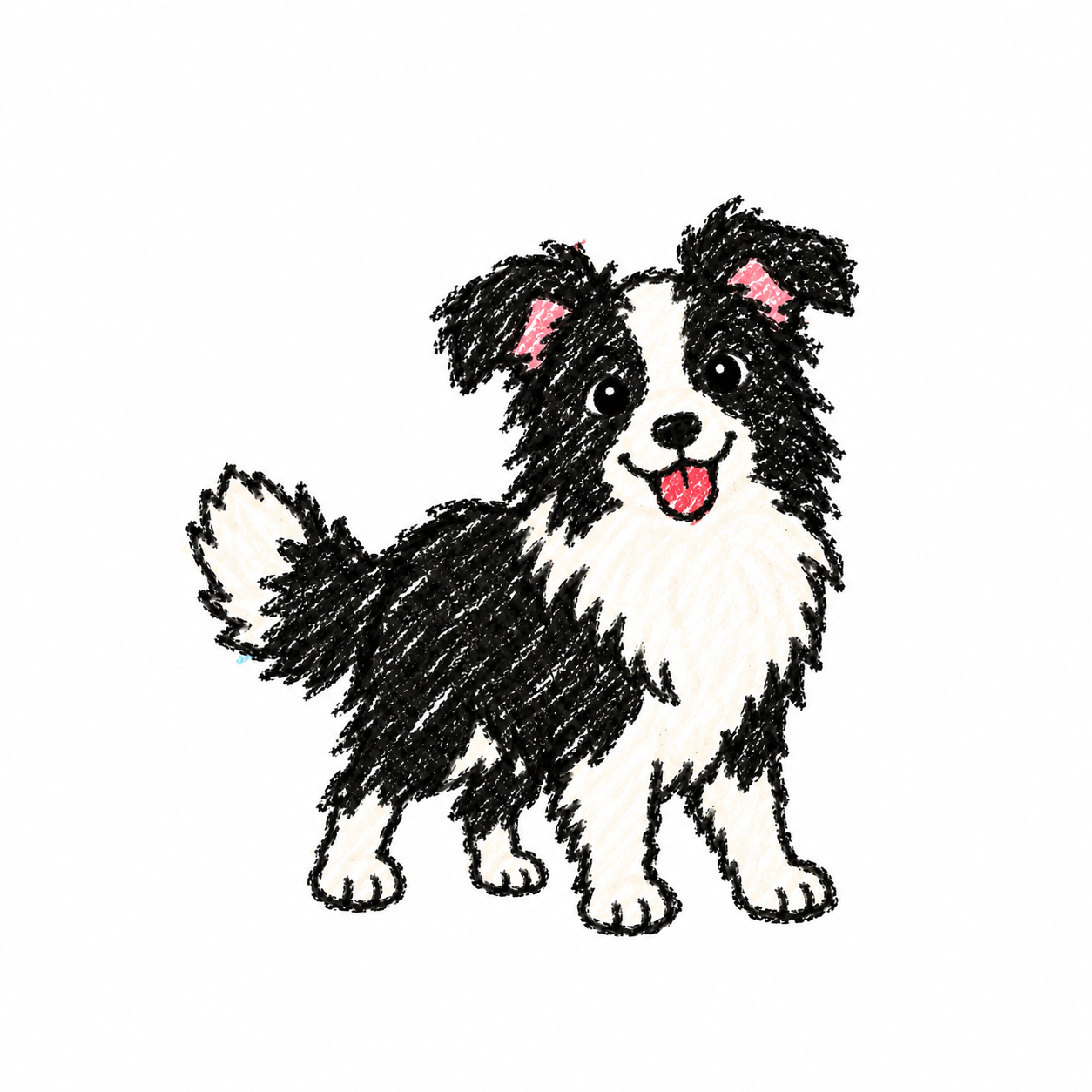 Border collie