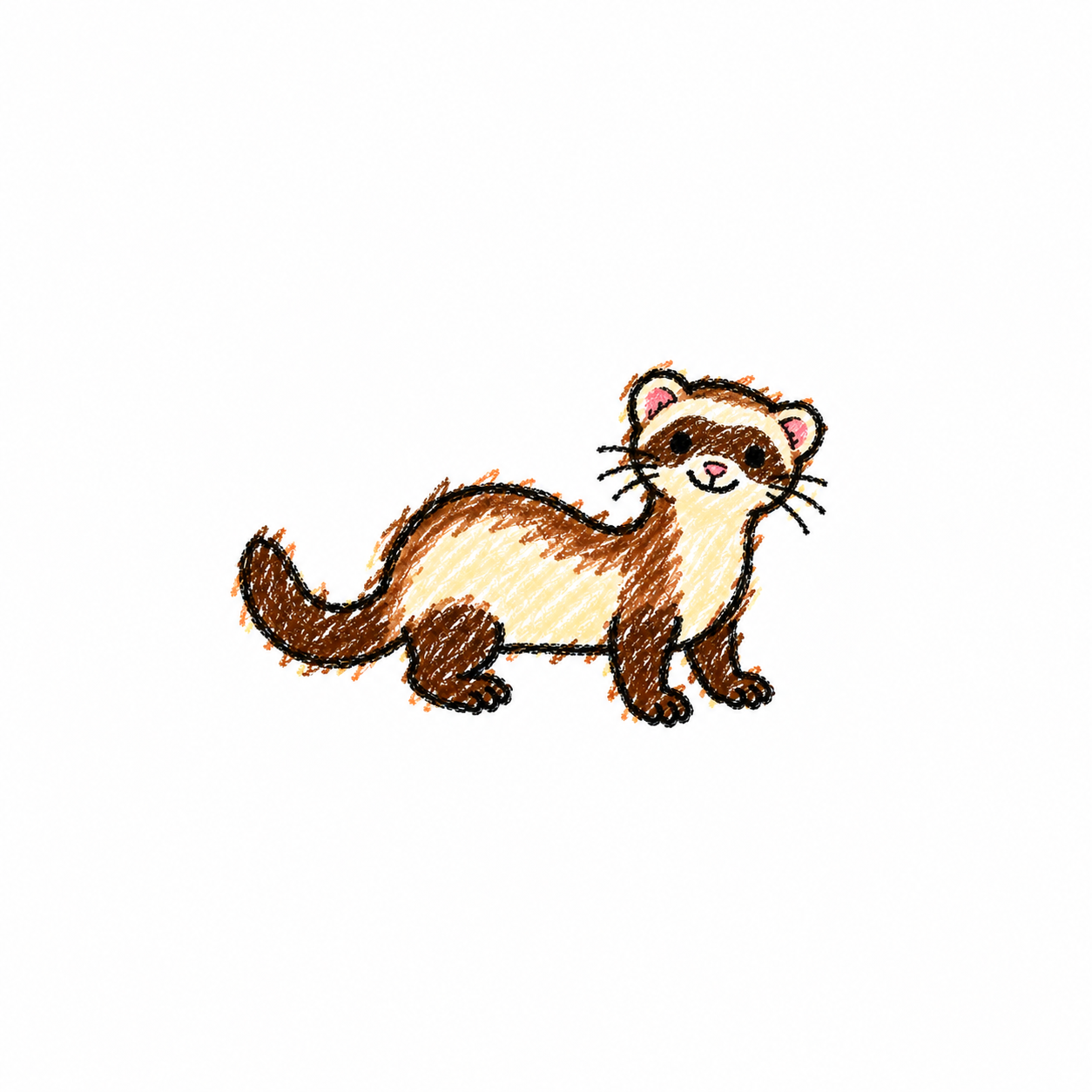 Ferret