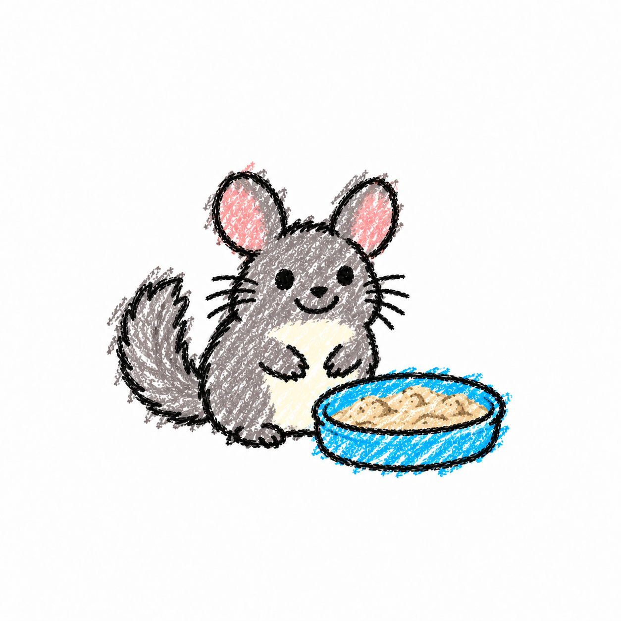 Chinchilla Scene