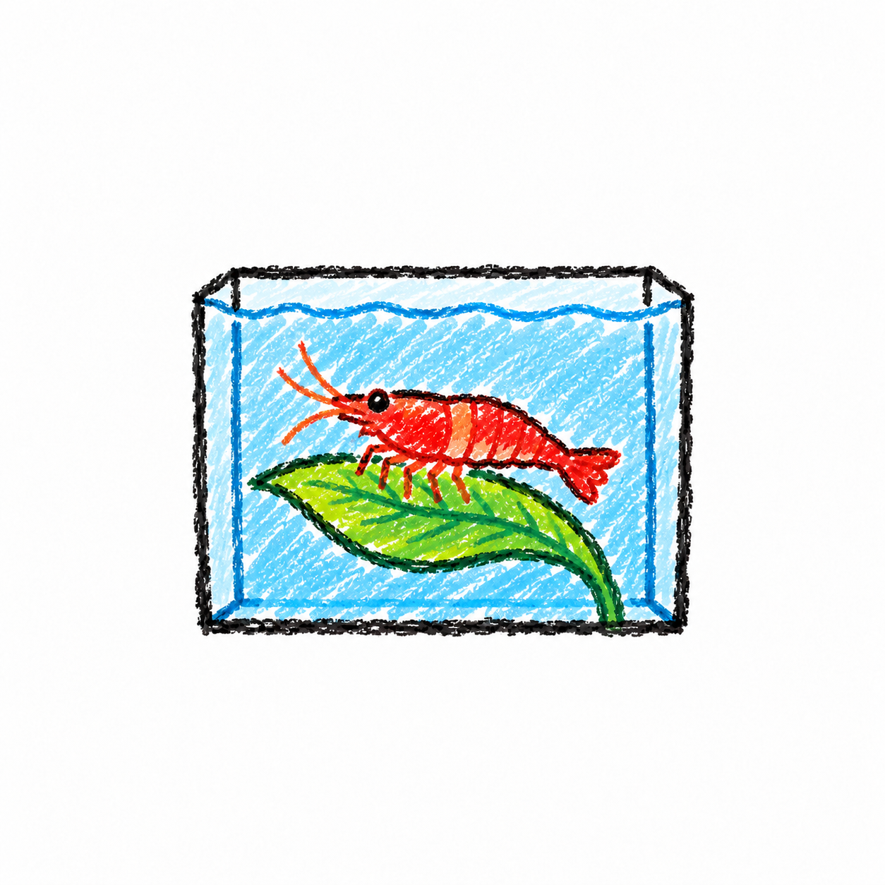 Cherry shrimp Scene