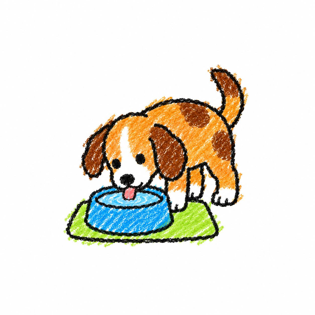 Dog Drinking
