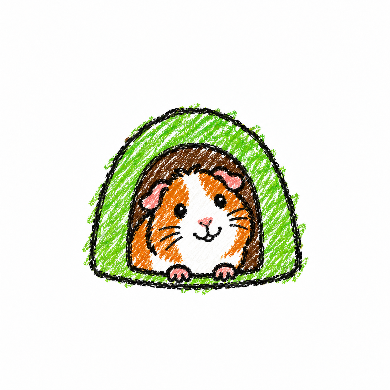 Guinea Pig Hiding