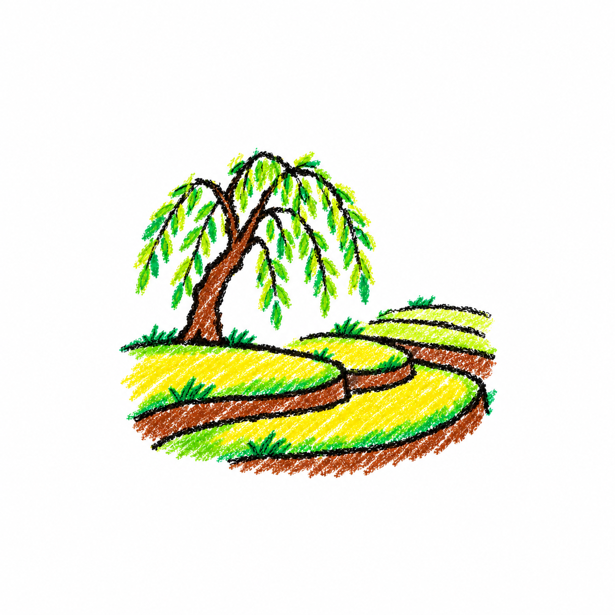 Terraced fields and willow tree