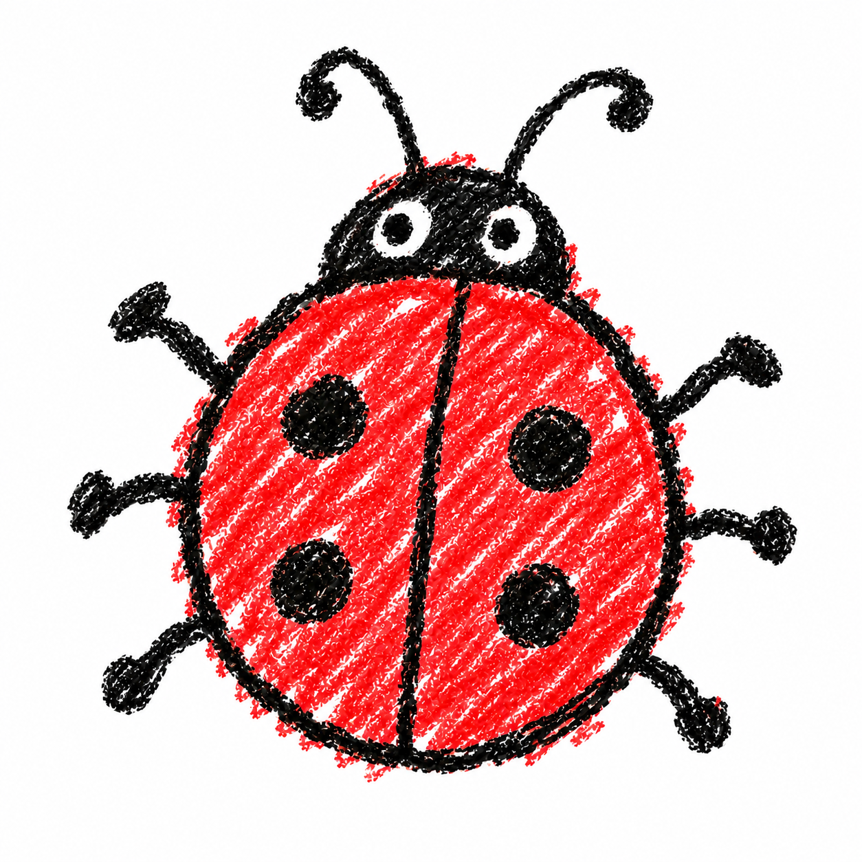 Ladybug