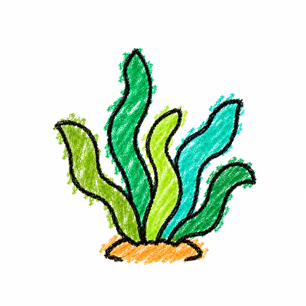 Seagrass